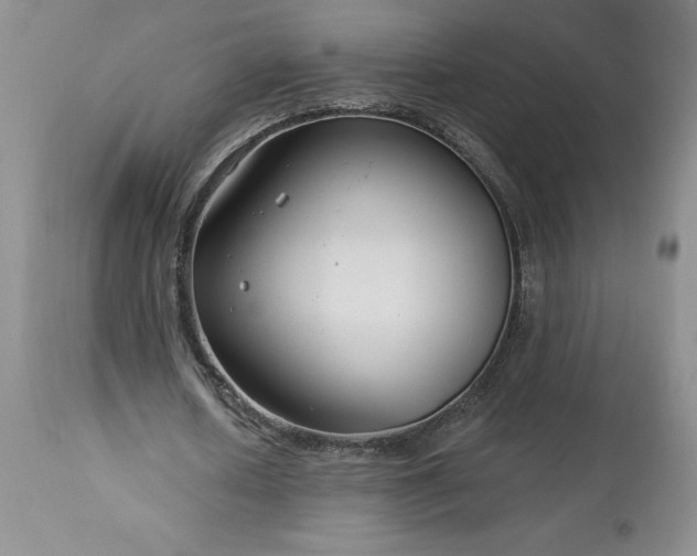 X0000113580626200910021653