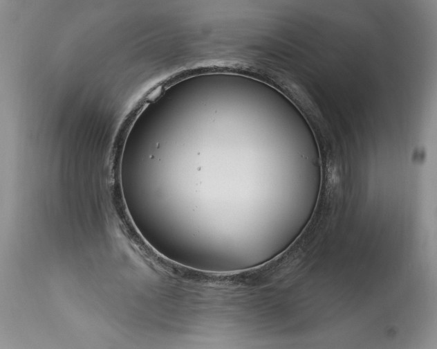 X0000113580628200910021653