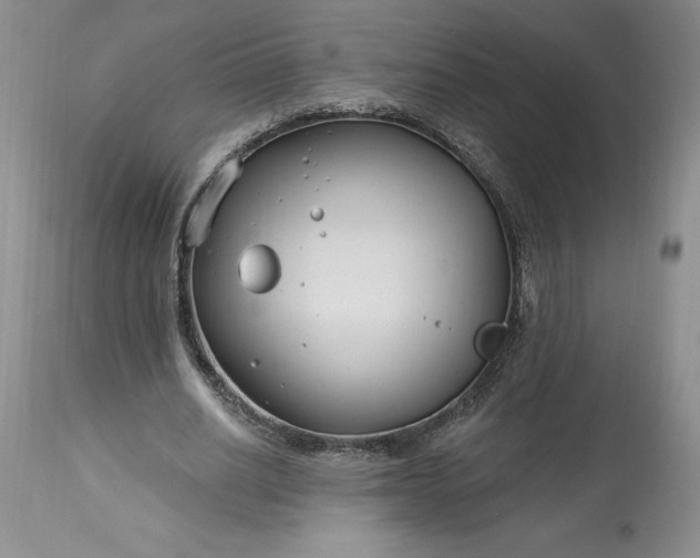 X0000113580630200910021653