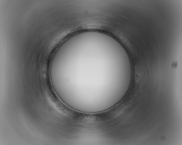 X0000113580631200910021653