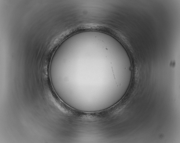 X0000113580633200910021654