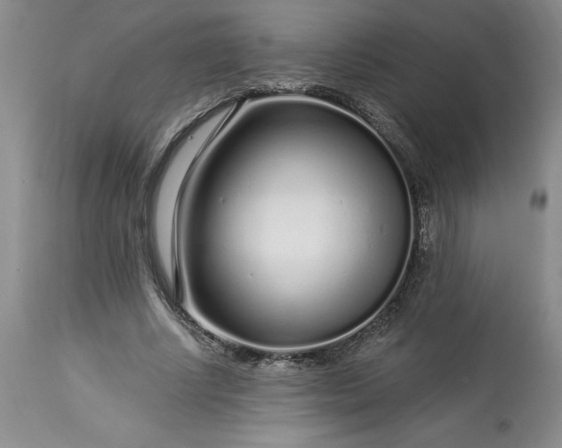 X0000113580634200910021654