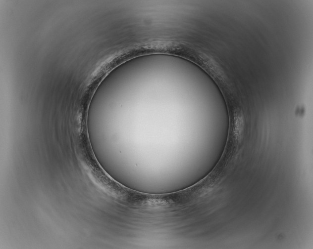 X0000113580636200910021654