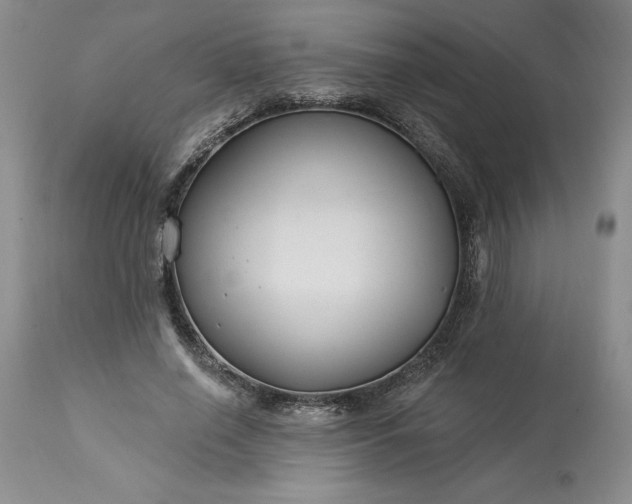 X0000113580638200910021654