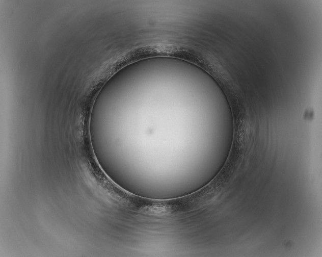 X0000113580639200910021654