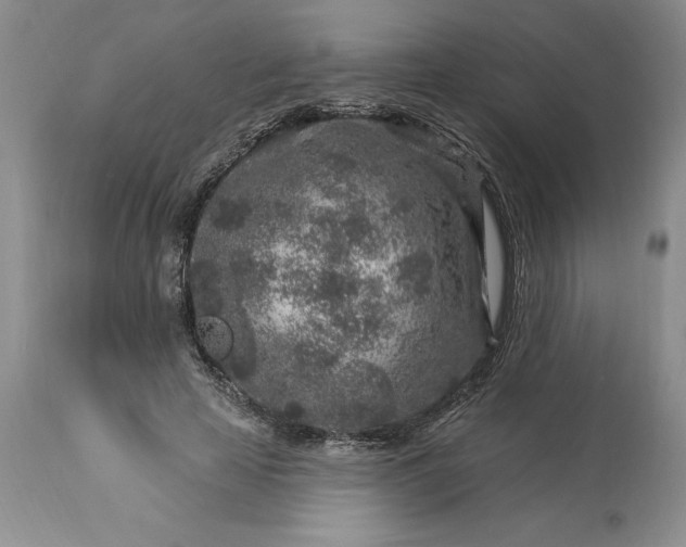 X0000113580641200910021654