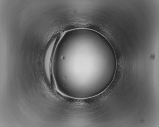 X0000113580642200910021654