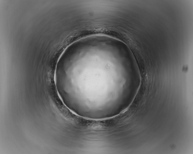 X0000113580643200910021654