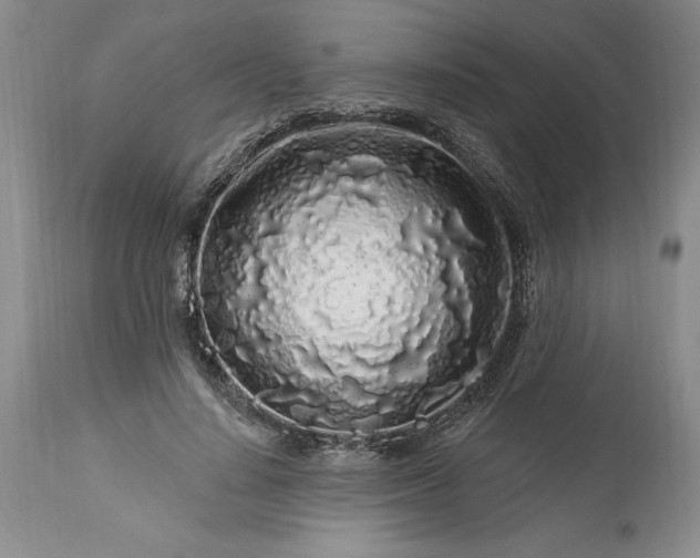 X0000113580644200910021654