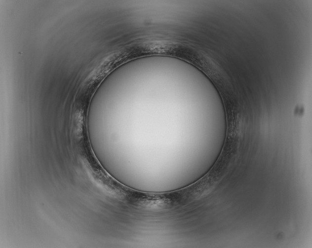 X0000113580646200910021654