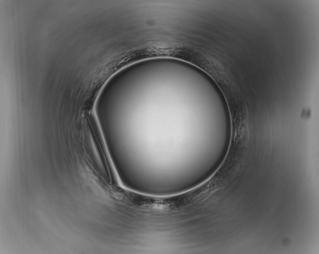 X0000113580647200910021654