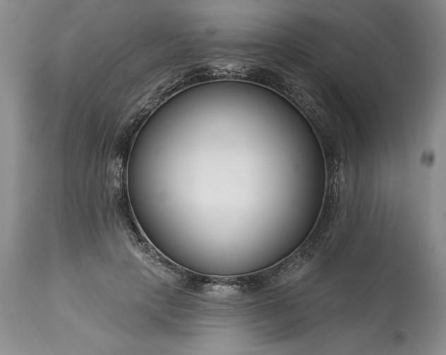 X0000113580649200910021654