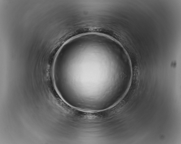 X0000113580650200910021654