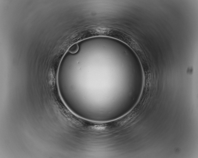 X0000113580651200910021654