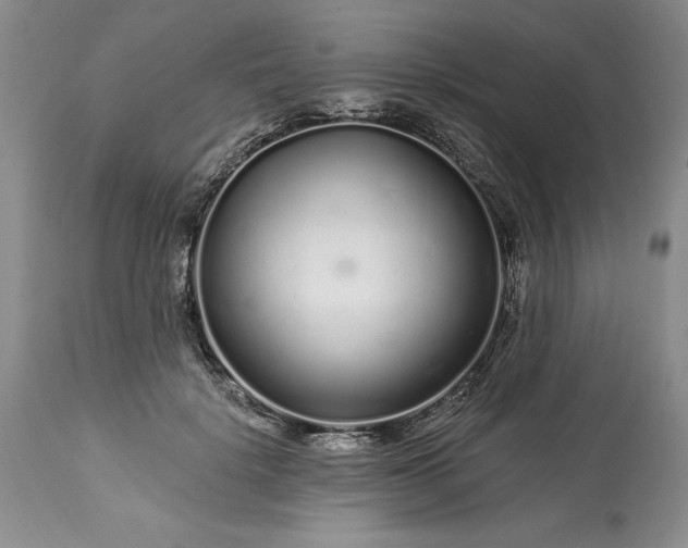 X0000113580652200910021654