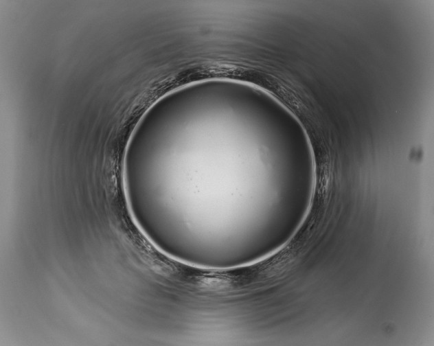 X0000113580653200910021654