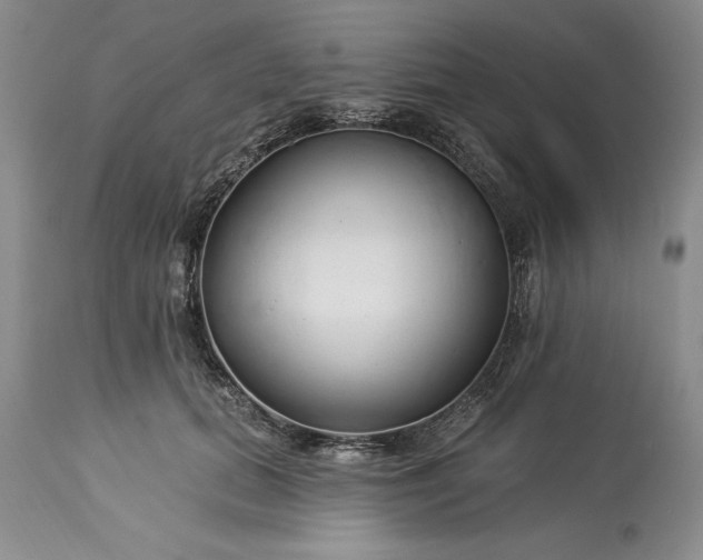 X0000113580655200910021654