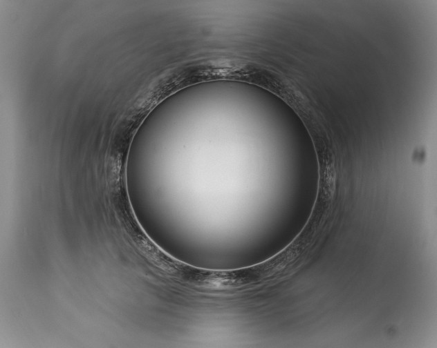 X0000113580657200910021654