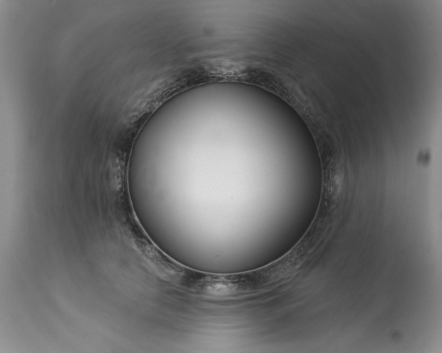 X0000113580658200910021654