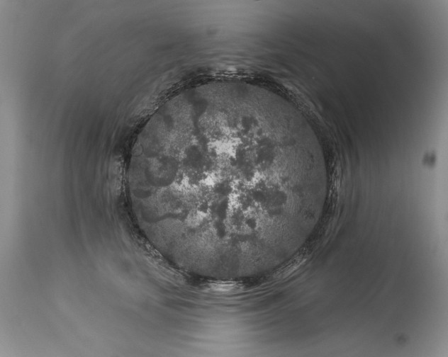 X0000113580659200910021654