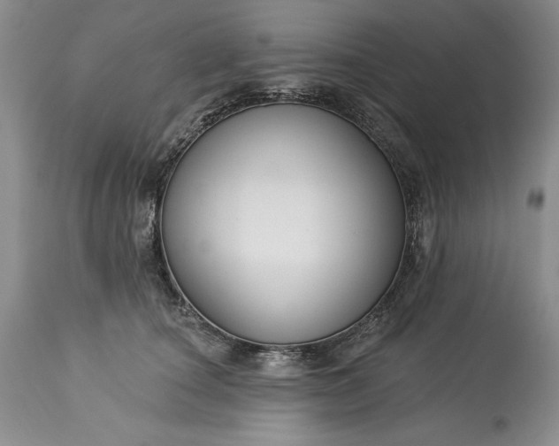 X0000113580660200910021654