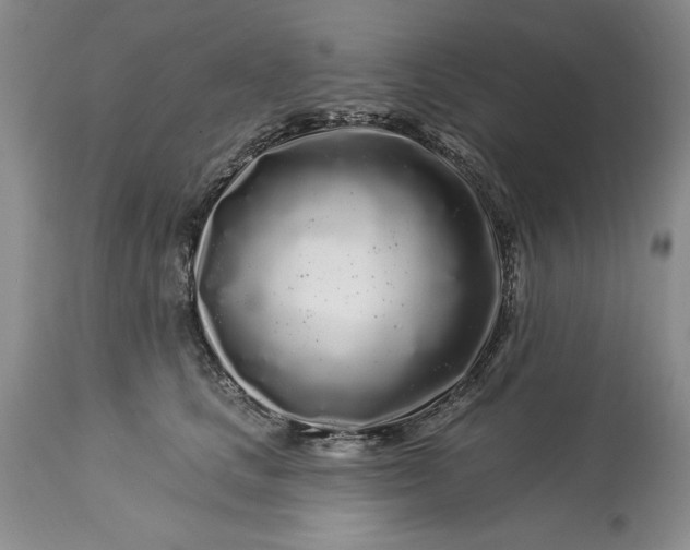 X0000113580661200910021654