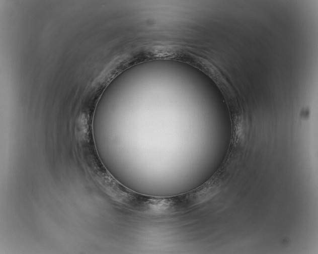 X0000113580667200910021654