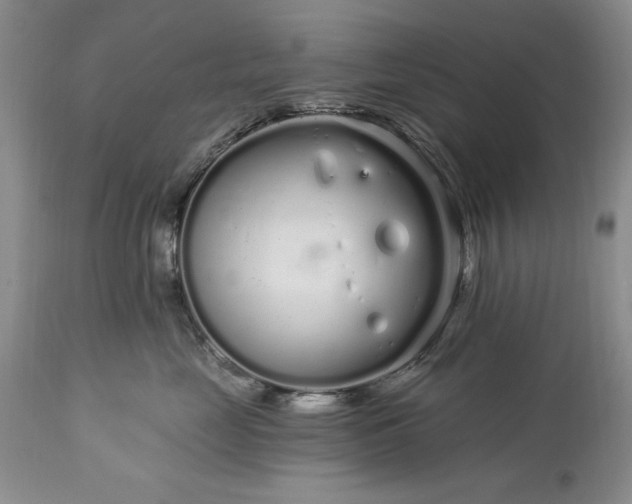 X0000113580669200910021654