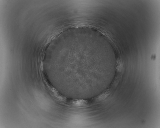 X0000113580670200910021654