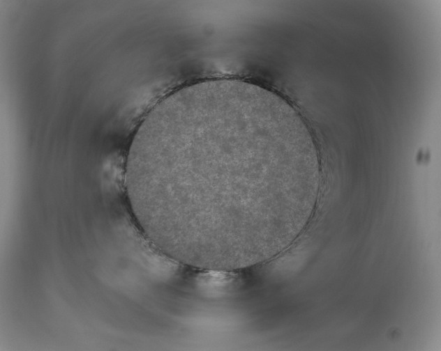 X0000113580672200910021654