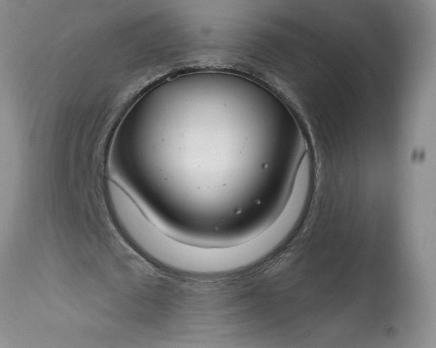 X0000113580673200910021653