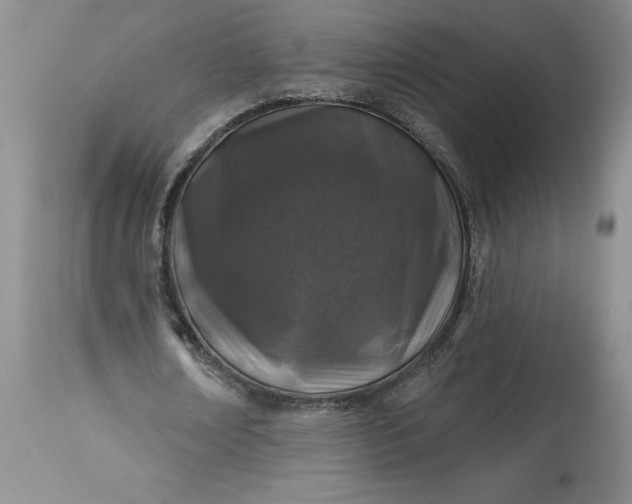 X0000113580674200910021653