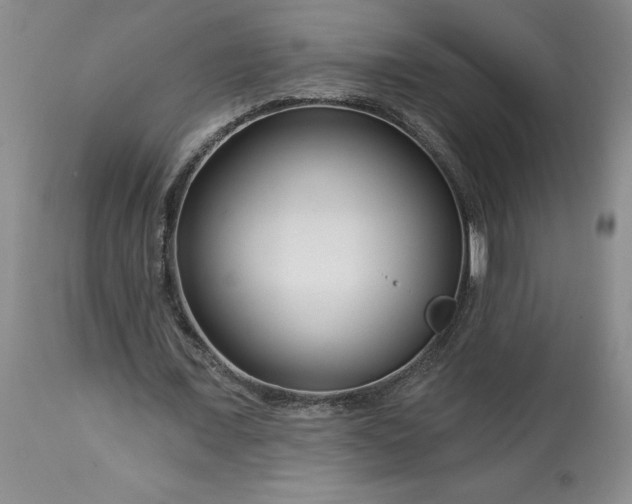 X0000113580675200910021653