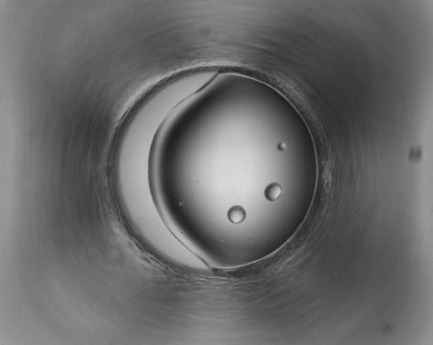 X0000113580676200910021653