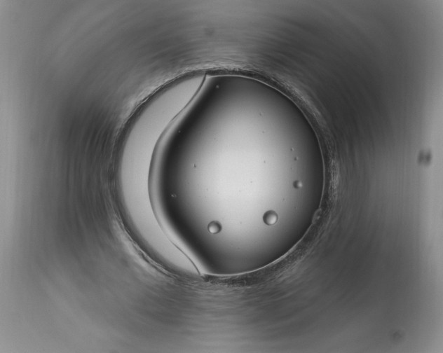 X0000113580677200910021653