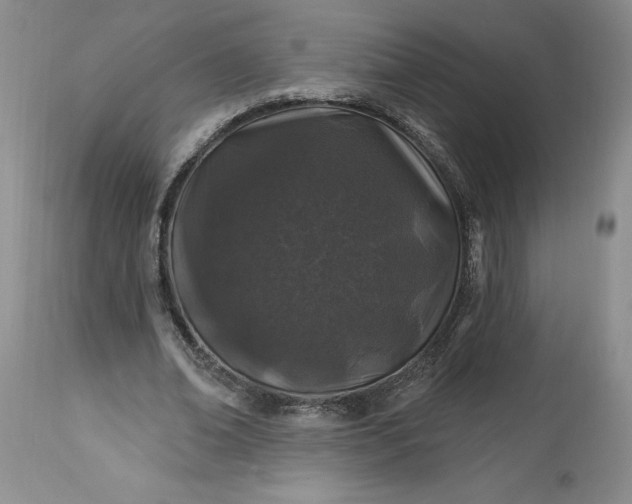 X0000113580678200910021653