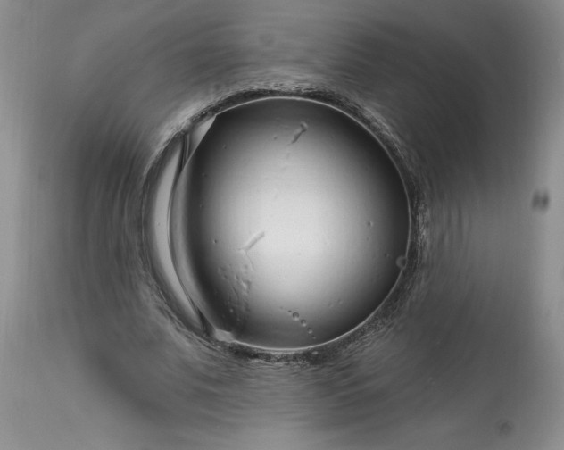 X0000113580679200910021653