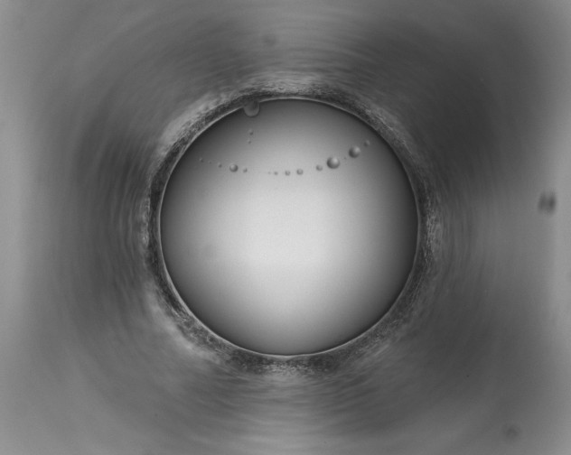 X0000113580682200910021653