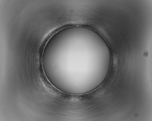 X0000113580684200910021653