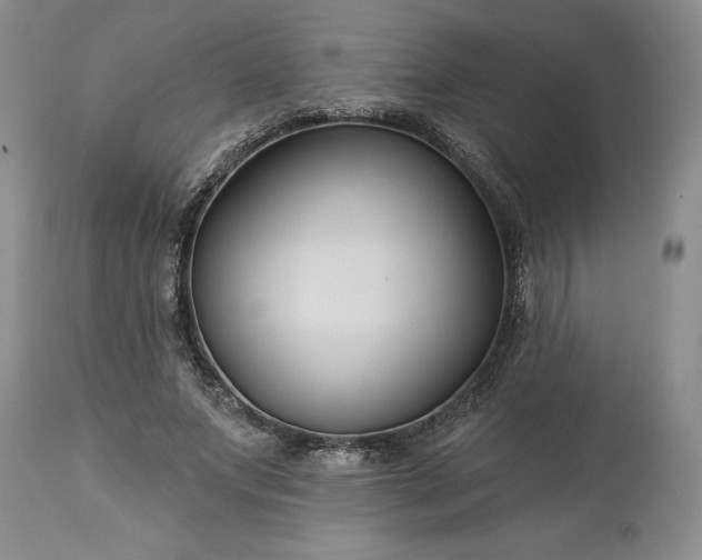 X0000113580687200910021653