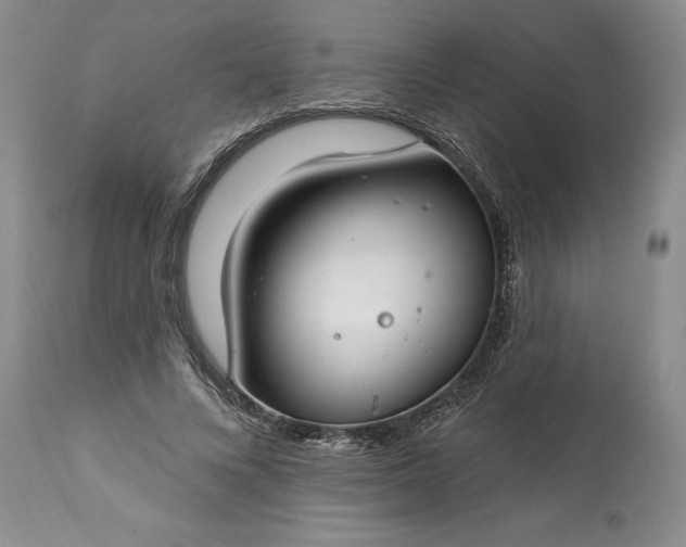 X0000113580688200910021653