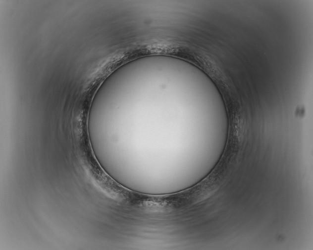 X0000113580690200910021653