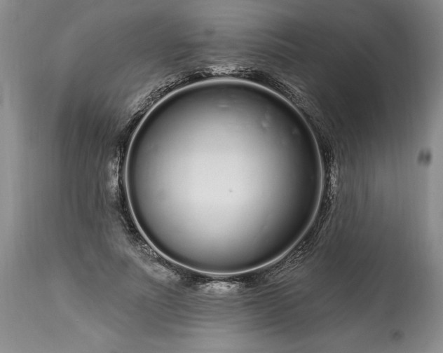 X0000113580691200910021653