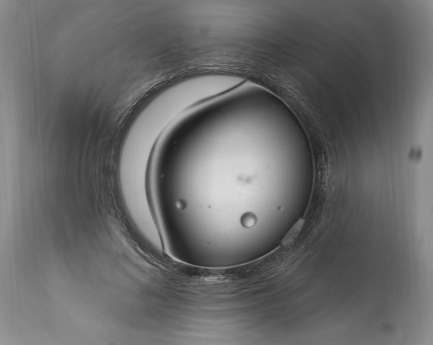 X0000113580692200910021653