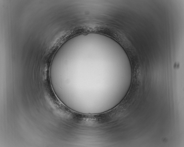 X0000113580694200910021653