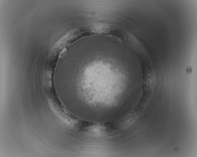 X0000113580696200910021653