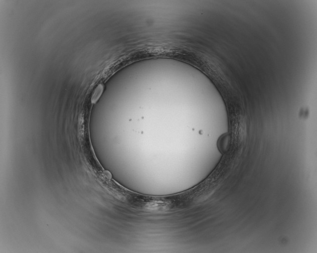 X0000113580700200910021653