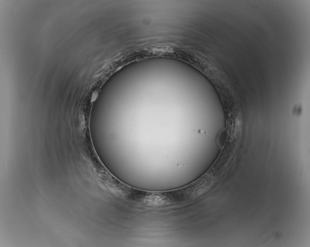 X0000113580704200910021653