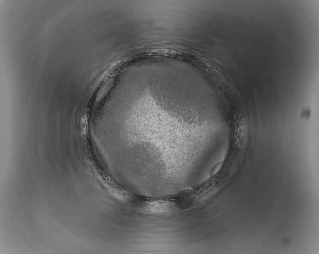 X0000113580708200910021653