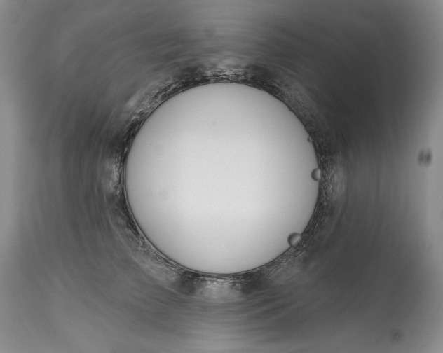 X0000113580709200910021653